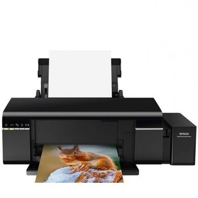 Принтер Epson L805 (C11CE86403)