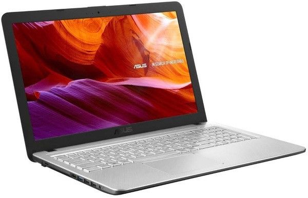 Ноутбук Asus X509MA-BR259 (90NB0Q32-M07050)